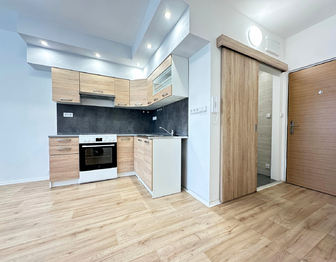 Pronájem bytu 1+1 v osobním vlastnictví 37 m², Louny