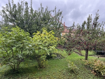 Pronájem bytu 3+1 v osobním vlastnictví 70 m², Praha 5 - Motol