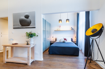 Pronájem bytu 1+kk v osobním vlastnictví 45 m², Praha 3 - Žižkov