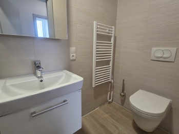 koupelna - Pronájem bytu 2+kk v osobním vlastnictví 39 m², České Budějovice