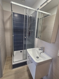 koupelna - Pronájem bytu 2+kk v osobním vlastnictví 39 m², České Budějovice