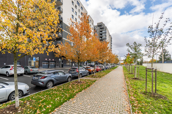 Pronájem bytu 2+kk v osobním vlastnictví 75 m², Praha 3 - Strašnice