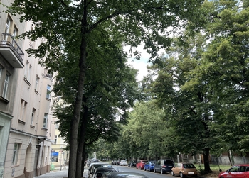 Prodej bytu 1+1 v osobním vlastnictví 39 m², Praha 10 - Vršovice