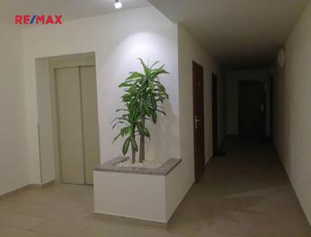 Pronájem bytu 1+kk v osobním vlastnictví 32 m², Plzeň