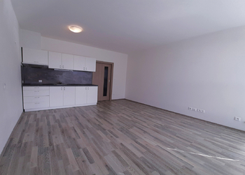 Pronájem bytu 1+kk v osobním vlastnictví 32 m², Plzeň