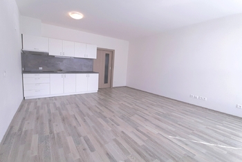 Pronájem bytu 1+1 v osobním vlastnictví 40 m², Plzeň