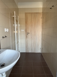 Pronájem bytu 2+kk v osobním vlastnictví 74 m², Plzeň