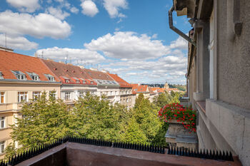 Výhled do korun stromů - Prodej bytu 3+1 v osobním vlastnictví 95 m², Praha 6 - Bubeneč