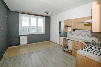 Prodej bytu 1+1 v osobním vlastnictví 42 m², Plzeň