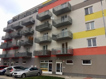 Pronájem bytu 1+kk v osobním vlastnictví 1054 m², České Budějovice