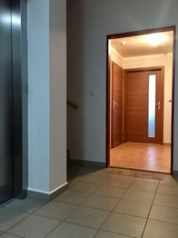Pronájem bytu 1+kk v osobním vlastnictví 1054 m², České Budějovice