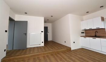 Pronájem bytu 2+kk v osobním vlastnictví 41 m², Plzeň
