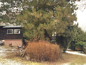 Prodej domu 150 m², Vysokov