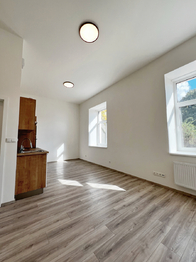Pronájem bytu 1+kk v osobním vlastnictví 1175 m², Kralupy nad Vltavou