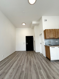 Pronájem bytu 1+kk v osobním vlastnictví 1175 m², Kralupy nad Vltavou