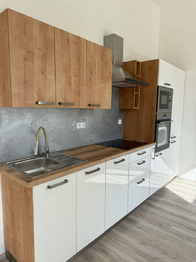 Pronájem bytu 1+kk v osobním vlastnictví 1175 m², Kralupy nad Vltavou