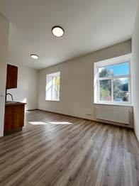Pronájem bytu 1+kk v osobním vlastnictví 1175 m², Kralupy nad Vltavou
