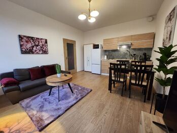 Pronájem bytu 2+kk v osobním vlastnictví 45 m², Karlovy Vary