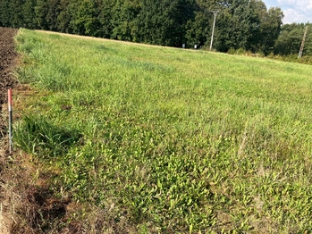 Prodej pozemku 1500 m², Albrechtice