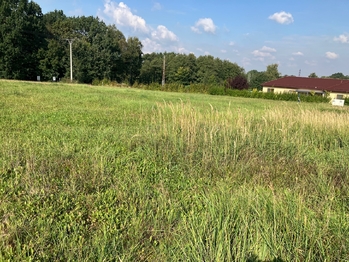 Prodej pozemku 1500 m², Albrechtice