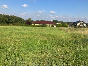 Prodej pozemku 1500 m², Albrechtice