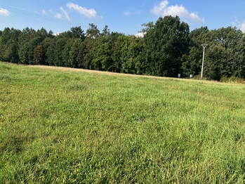 Prodej pozemku 1500 m², Albrechtice
