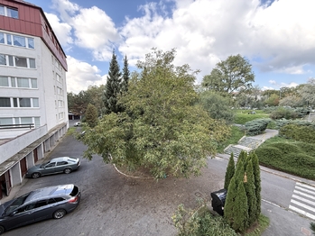Pronájem bytu 3+1 v osobním vlastnictví 75 m², Praha 10 - Strašnice