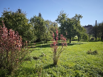 Prodej pozemku 840 m², Stavěšice