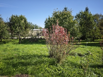 Prodej pozemku 840 m², Stavěšice