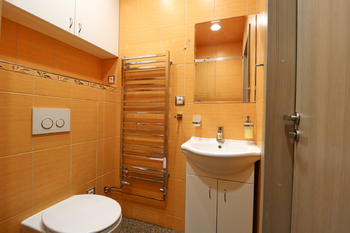 Koupelna - Prodej bytu 2+kk v osobním vlastnictví 45 m², Vrchlabí
