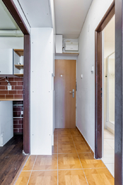 Chodba - Prodej bytu 1+1 v osobním vlastnictví 38 m², Praha 3 - Žižkov