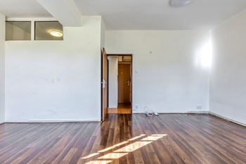 Obývací pokoj - Prodej bytu 1+1 v osobním vlastnictví 38 m², Praha 3 - Žižkov