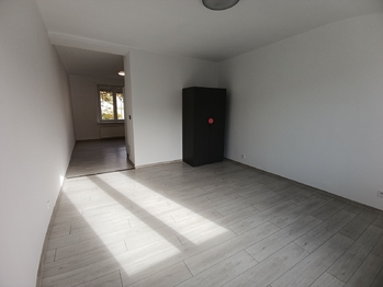 obývací pokoj - Pronájem bytu 2+kk v osobním vlastnictví 65 m², Teplice