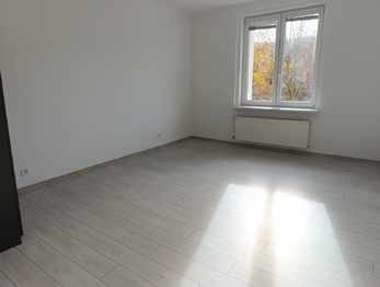 obývací pokoj - Pronájem bytu 2+kk v osobním vlastnictví 65 m², Teplice