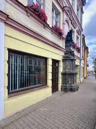 Pronájem obchodních prostor 42 m², Osek