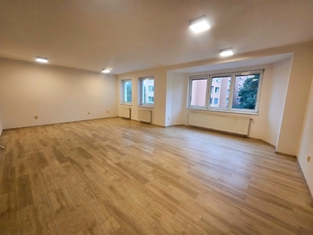 obývací pokoj - Pronájem bytu 3+1 v osobním vlastnictví 121 m², České Budějovice
