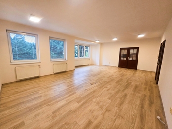 obývací pokoj - Pronájem bytu 3+1 v osobním vlastnictví 121 m², České Budějovice