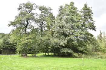 Prodej chaty / chalupy 35 m², Opatovice I