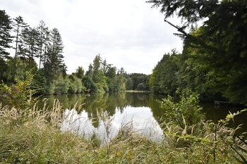 Prodej chaty / chalupy 35 m², Opatovice I