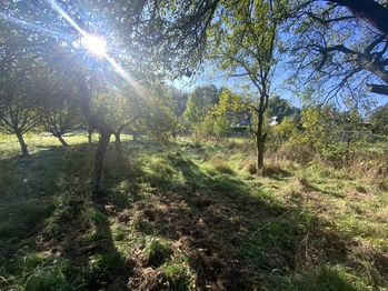 Prodej pozemku 702 m², Stráž nad Ohří
