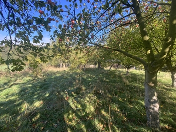 Prodej pozemku 702 m², Stráž nad Ohří