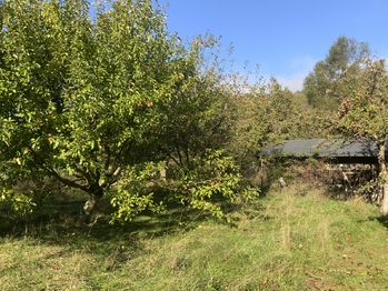 Prodej pozemku 702 m², Stráž nad Ohří