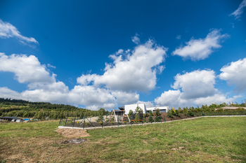 Prodej domu 186 m², Málkov