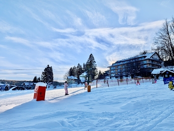 Prodej bytu 1+kk v osobním vlastnictví 33 m², Janské Lázně