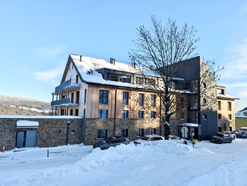 Prodej bytu 1+kk v osobním vlastnictví 33 m², Janské Lázně