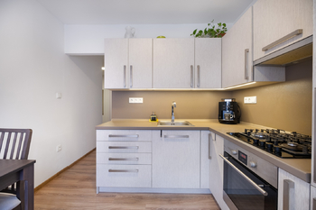 Prodej bytu 2+1 v družstevním vlastnictví 65 m², Kopřivnice