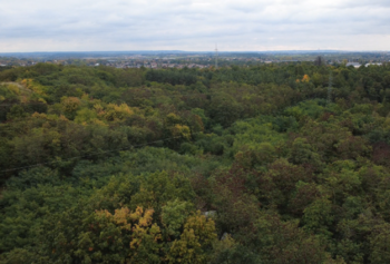 Prodej pozemku 1144 m², Praha 9 - Černý Most