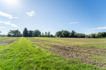 pole - Prodej zemědělského objektu 363 m², Vrdy