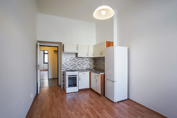 Pronájem bytu 1+1 v osobním vlastnictví 40 m², Praha 3 - Vinohrady