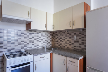 Pronájem bytu 1+1 v osobním vlastnictví 40 m², Praha 3 - Vinohrady